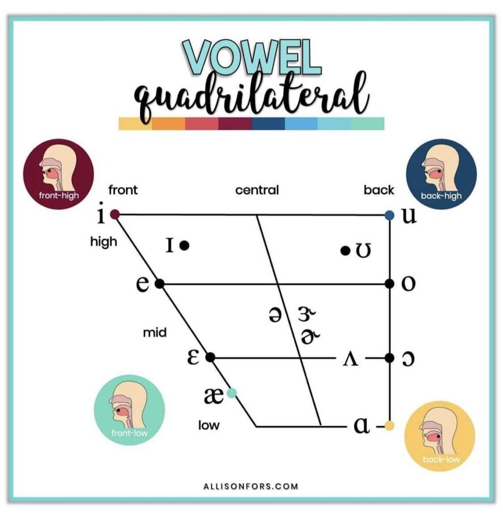 The vowel (monophthong) quadrant of the chart. from Allison Fors